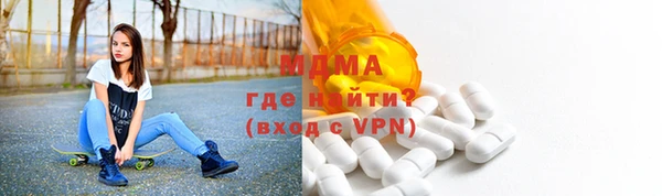 гидра Ельня