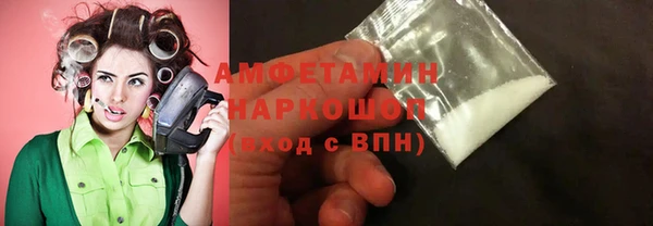 сатива Беломорск