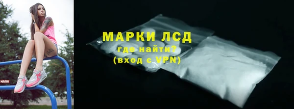 сатива Беломорск