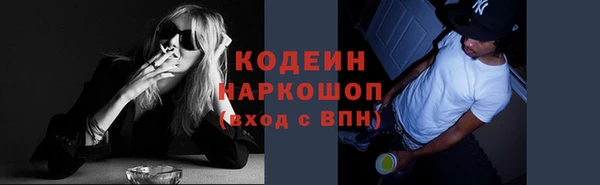 сатива Беломорск