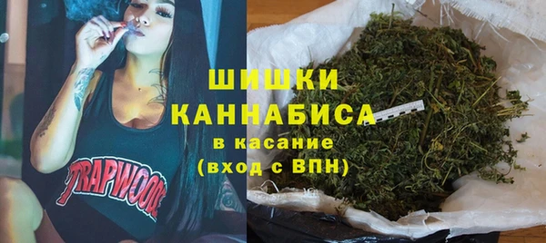 сатива Беломорск