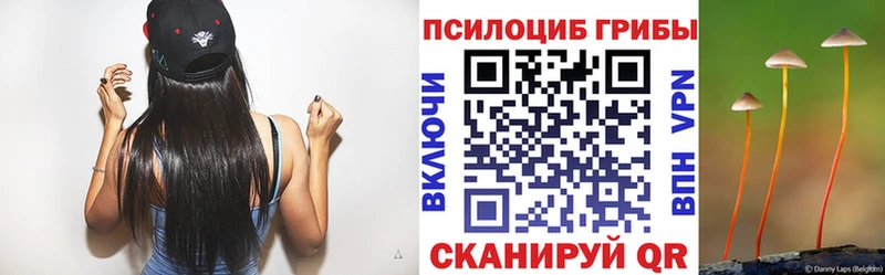 Псилоцибиновые грибы Psilocybe Павловск