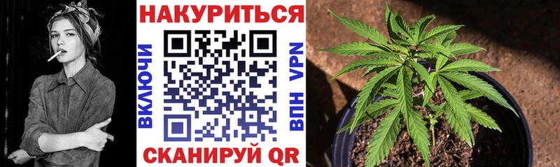 Шишки марихуана Bruce Banner Павловск